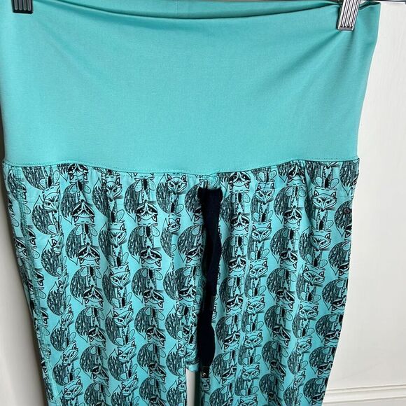 The Northface Fox Cropped Drawstring Joggers Teal Size Medium - Picture 2 of 5
